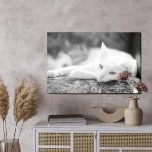 Peinture sur toile Un Chat Blanc Au Repos – Image 3