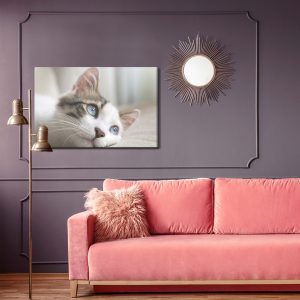 Peinture sur toile Chaton Rêveur – Image 4