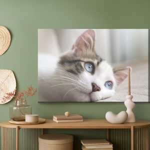 Peinture sur toile Chaton Rêveur – Image 5