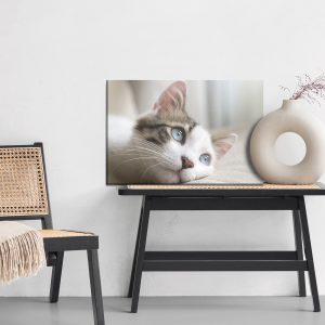 Peinture sur toile Chaton Rêveur – Image 6