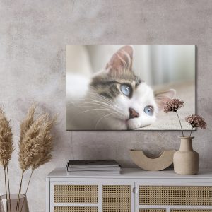 Peinture sur toile Chaton Rêveur – Image 3