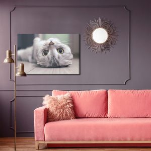 Peinture sur toile Chat Scottish Fold – Image 4