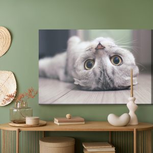 Peinture sur toile Chat Scottish Fold – Image 5