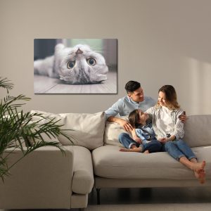 Peinture sur toile Chat Scottish Fold – Image 7