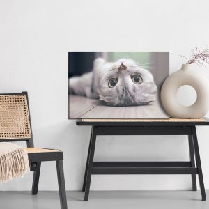Peinture sur toile Chat Scottish Fold – Image 6