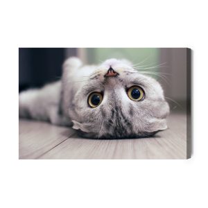 Peinture sur toile Chat Scottish Fold – Image 2