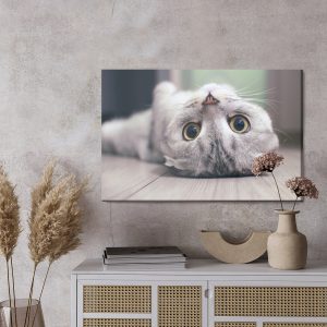 Peinture sur toile Chat Scottish Fold – Image 3