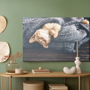 Peinture sur toile Chaton Roux Endormi – Image 5