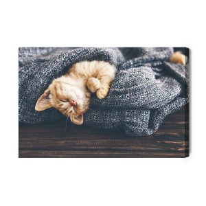 Peinture sur toile Chaton Roux Endormi – Image 2
