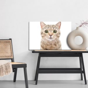 Peinture sur toile Chat Prostituée Écossais – Image 6