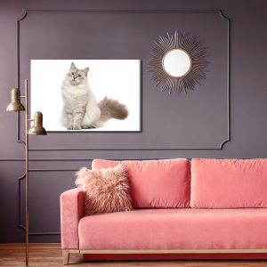 Peinture sur toile Chat Neva Masquarade – Image 4