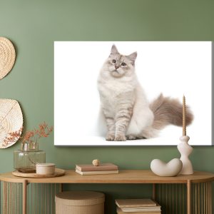 Peinture sur toile Chat Neva Masquarade – Image 5