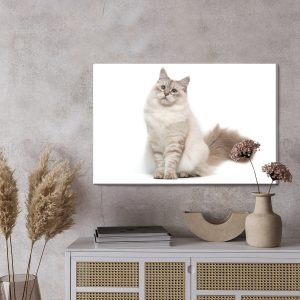 Peinture sur toile Chat Neva Masquarade – Image 3
