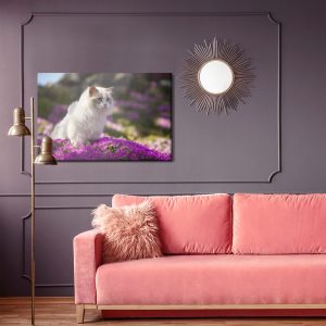 Peinture sur toile Chat Ragdoll Parmi Les Fleurs – Image 4