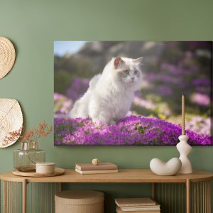 Peinture sur toile Chat Ragdoll Parmi Les Fleurs – Image 5