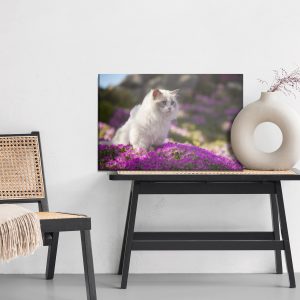 Peinture sur toile Chat Ragdoll Parmi Les Fleurs – Image 6