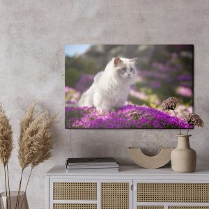 Peinture sur toile Chat Ragdoll Parmi Les Fleurs – Image 3