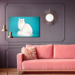 Peinture sur toile Chat Blanc Sur Fond Bleu – Image 4