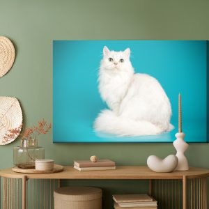 Peinture sur toile Chat Blanc Sur Fond Bleu – Image 5