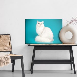 Peinture sur toile Chat Blanc Sur Fond Bleu – Image 6