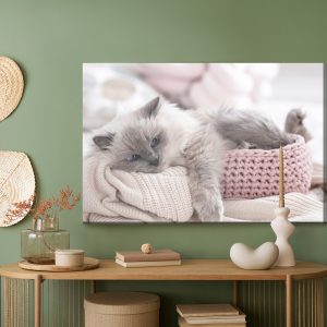 Peinture sur toile Chat Avec Une Couverture Tricotée – Image 5