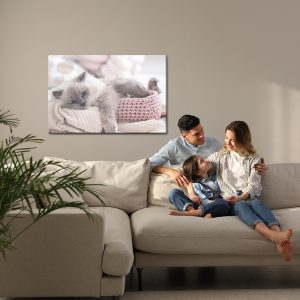Peinture sur toile Chat Avec Une Couverture Tricotée – Image 7