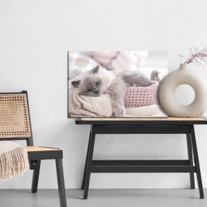 Peinture sur toile Chat Avec Une Couverture Tricotée – Image 6