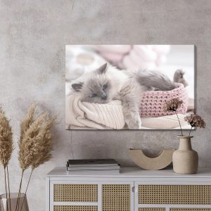 Peinture sur toile Chat Avec Une Couverture Tricotée – Image 3