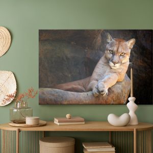Peinture sur toile Puma Dans Son Habitat Naturel – Image 5