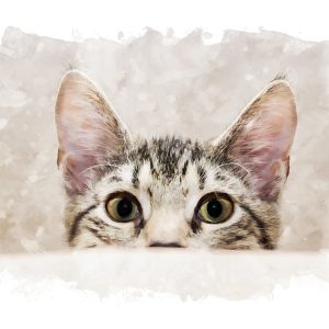 Peinture sur toile Chaton Curieux Peint À L'aquarelle – Image 1