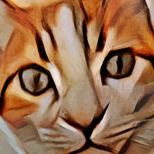 Peinture sur toile Portrait D'un Chat Comme Peint – Image 1