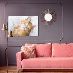 Peinture sur toile Chaton Somnolent Au Gingembre – Image 4
