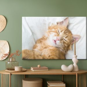 Peinture sur toile Chaton Somnolent Au Gingembre – Image 5