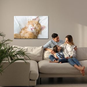 Peinture sur toile Chaton Somnolent Au Gingembre – Image 7