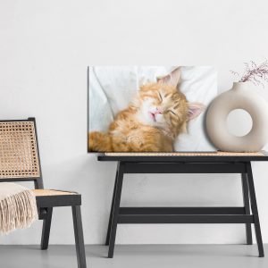 Peinture sur toile Chaton Somnolent Au Gingembre – Image 6