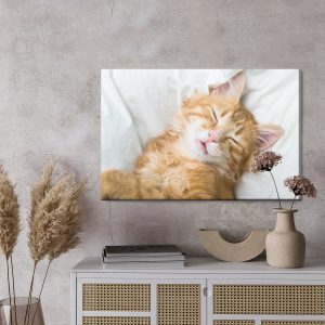 Peinture sur toile Chaton Somnolent Au Gingembre – Image 3
