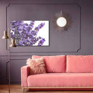 Peinture sur toile Fleurs De Lavande En Fleurs Sur Fond Blanc – Image 4