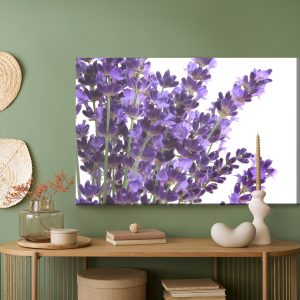 Peinture sur toile Fleurs De Lavande En Fleurs Sur Fond Blanc – Image 5