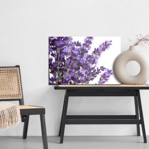 Peinture sur toile Fleurs De Lavande En Fleurs Sur Fond Blanc – Image 6