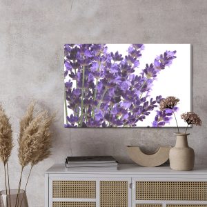 Peinture sur toile Fleurs De Lavande En Fleurs Sur Fond Blanc – Image 3