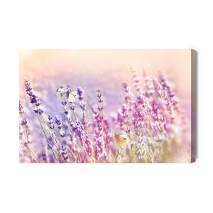 Peinture sur toile Fleurs De Lavande Baignées De Soleil – Image 2