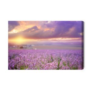 Peinture sur toile Beau Paysage De Lavande 3D – Image 2