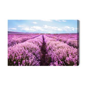 Peinture sur toile Champ De Lavande En Fleurs 3D – Image 2