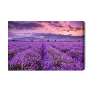 Peinture sur toile Beau Paysage De Lavande 3D – Image 2