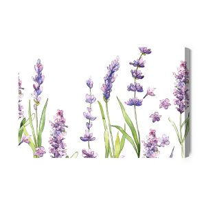 Peinture sur toile Fleurs De Lavande Aquarelle Sur Fond Blanc – Image 2