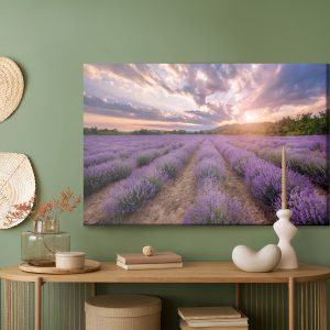 Peinture sur toile Champ De Lavande Au Coucher Du Soleil – Image 5