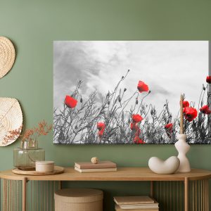 Peinture sur toile Coquelicots Rouges Sur Fond Noir Et Blanc – Image 5