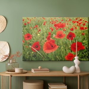 Peinture sur toile Coquelicots Rouges Dans Le Pré – Image 5