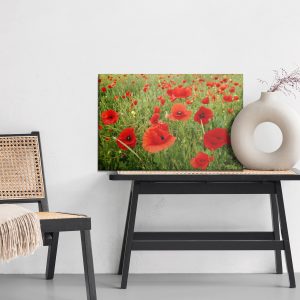 Peinture sur toile Coquelicots Rouges Dans Le Pré – Image 6