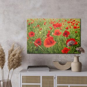 Peinture sur toile Coquelicots Rouges Dans Le Pré – Image 3